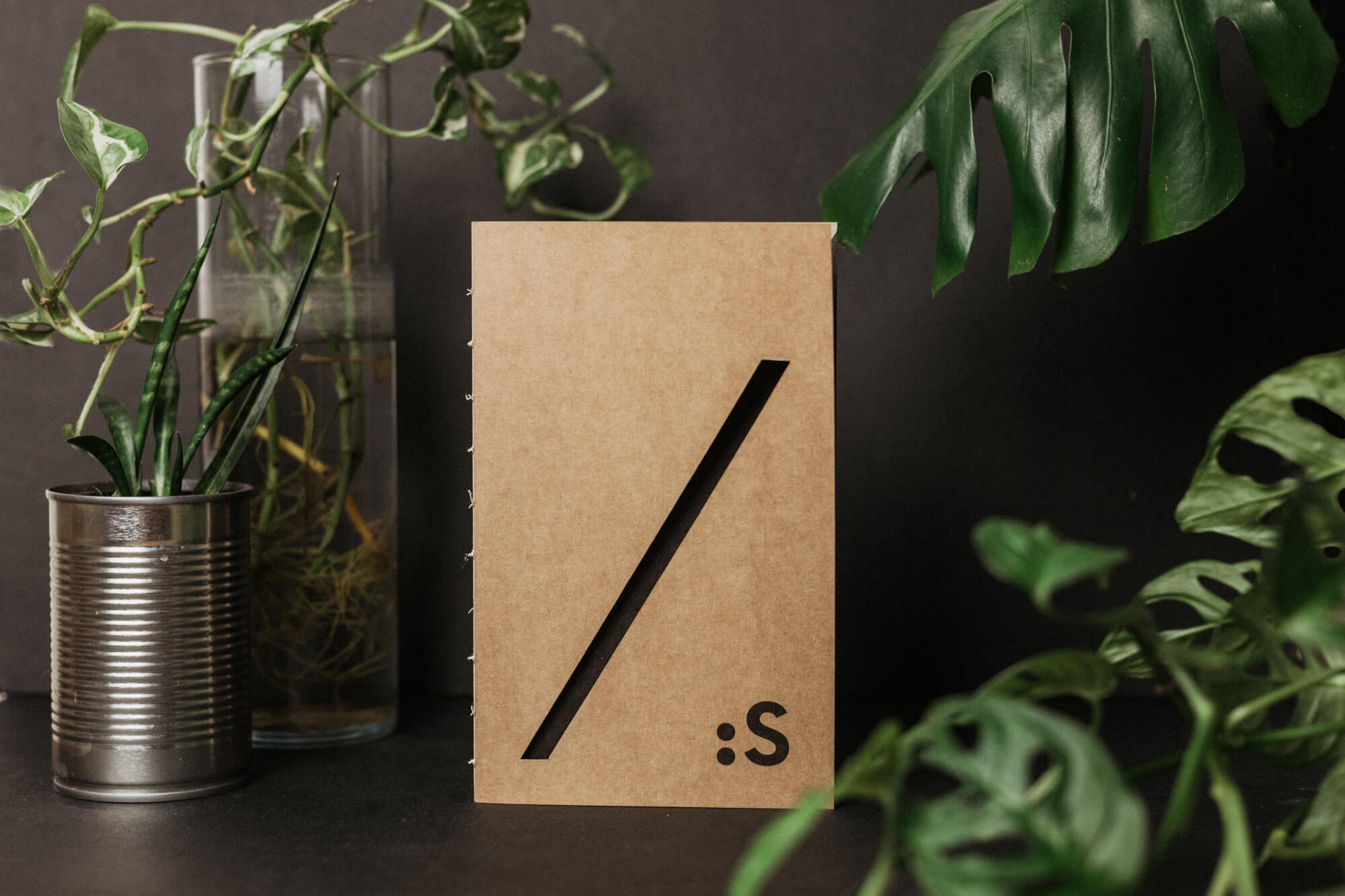 Skečovník - II.akosť