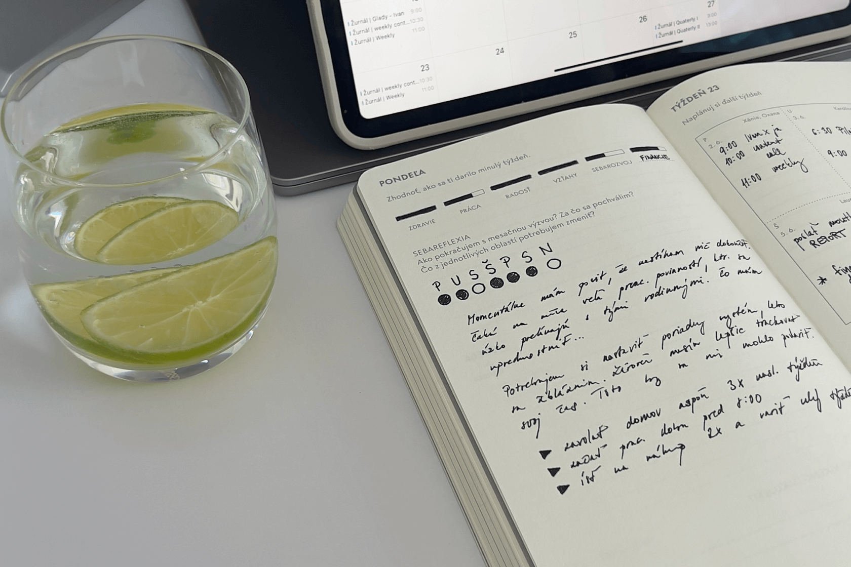 Half-yearly diary 25/2