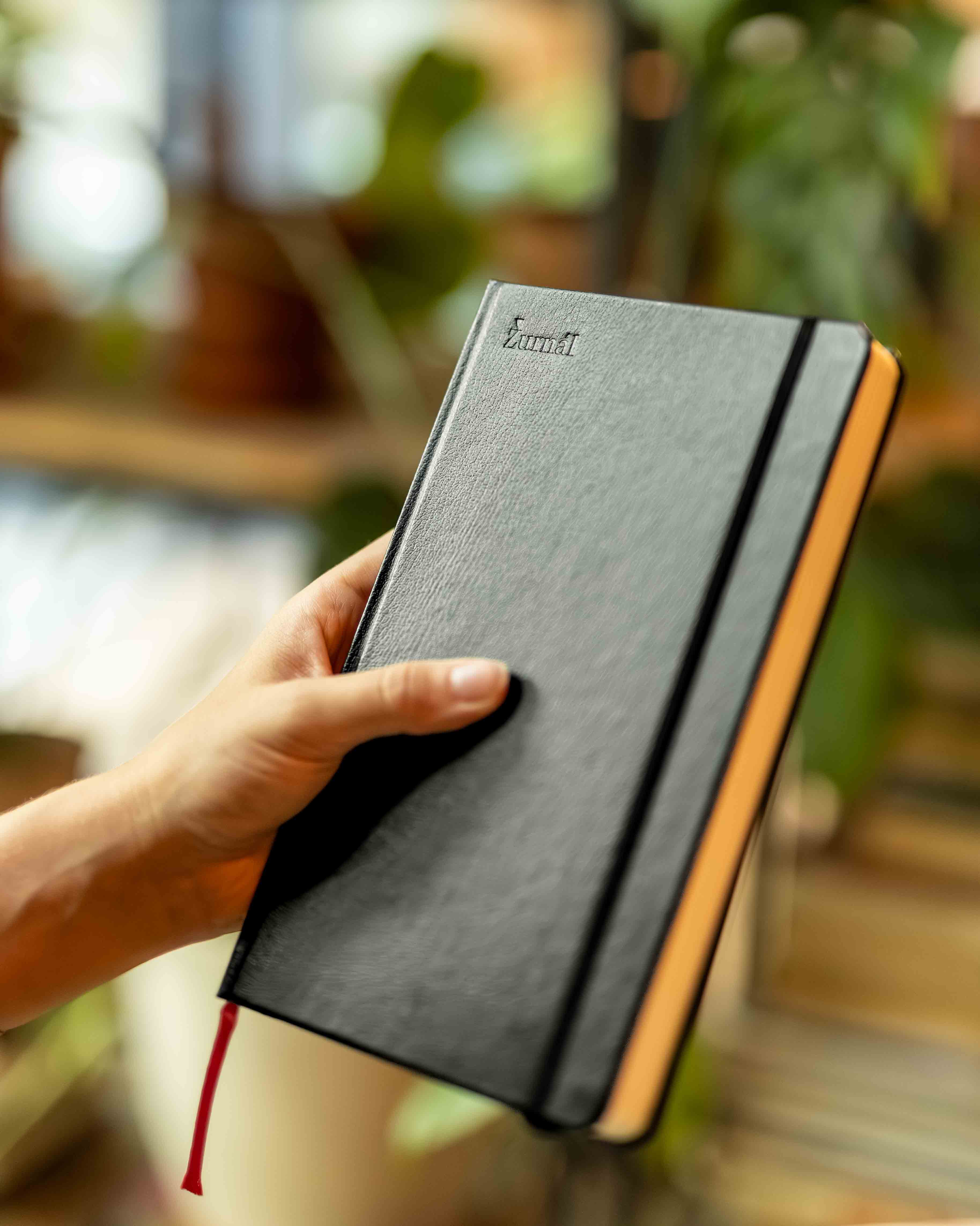 zurnal-skolak-kozenka