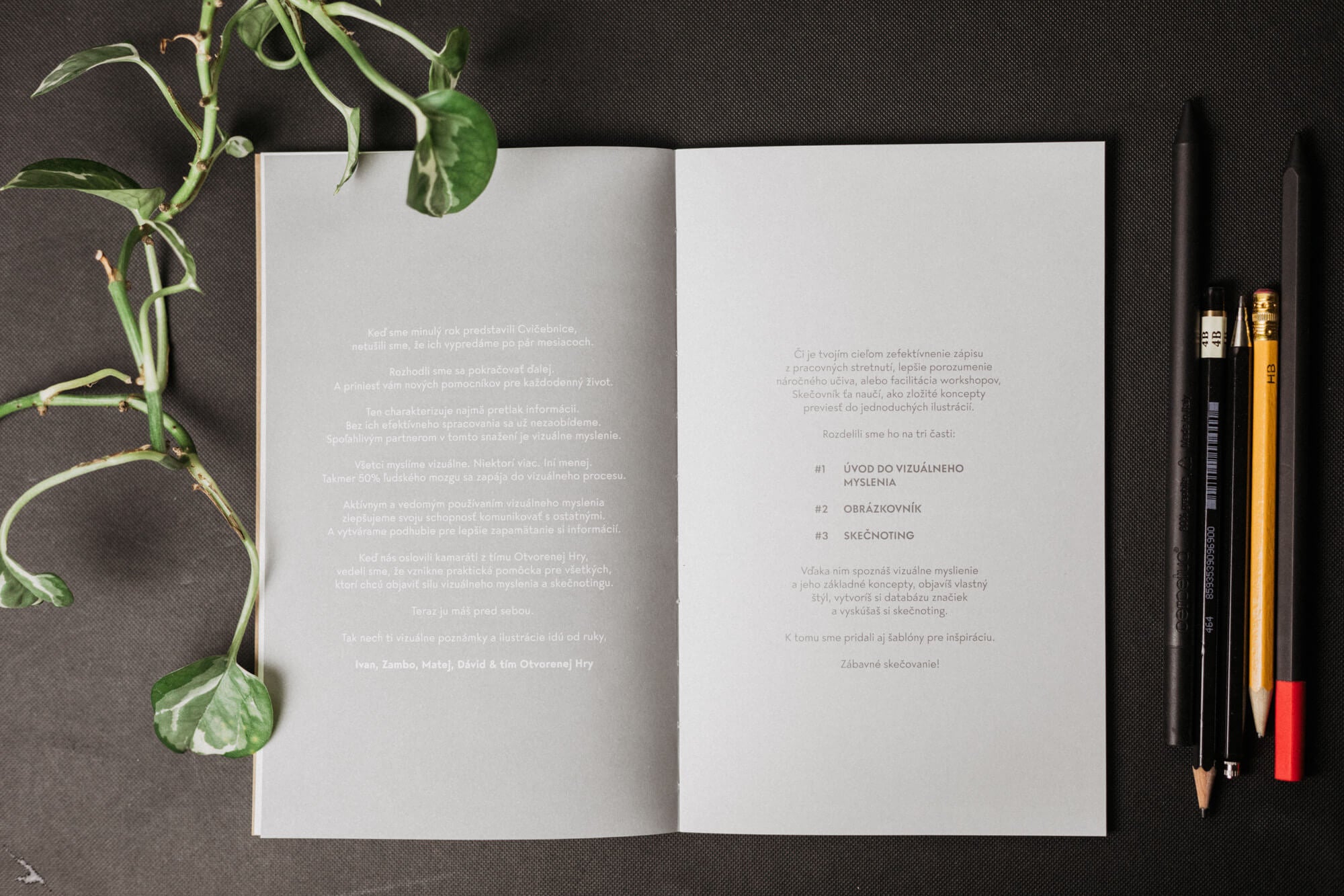 Skečovník - II.akosť