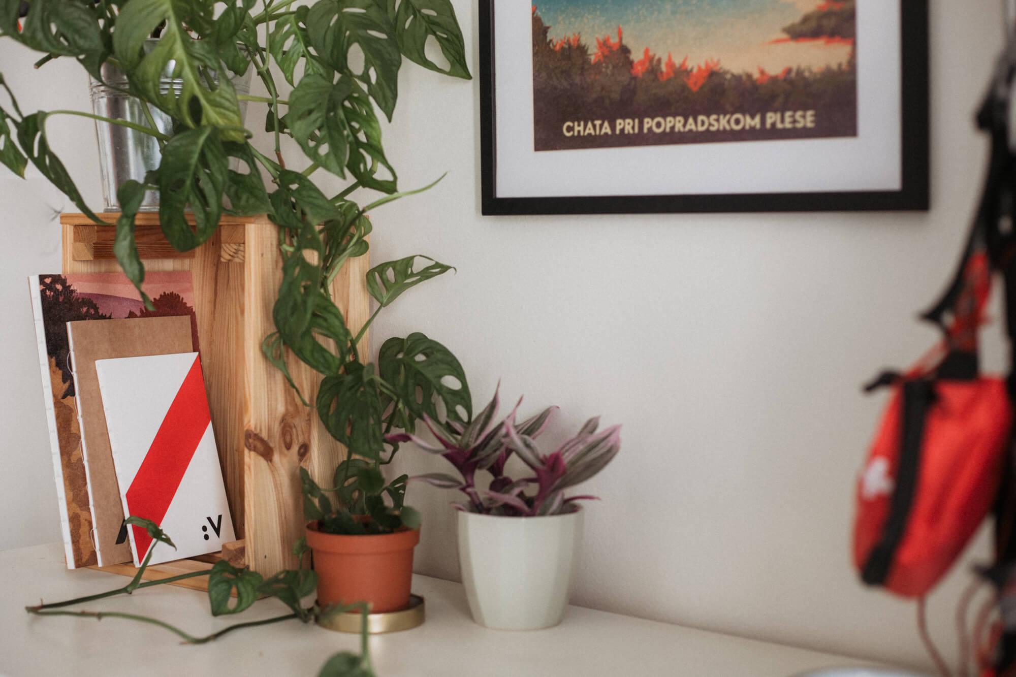 Chata pri Popradskom plese – Adrián Macho