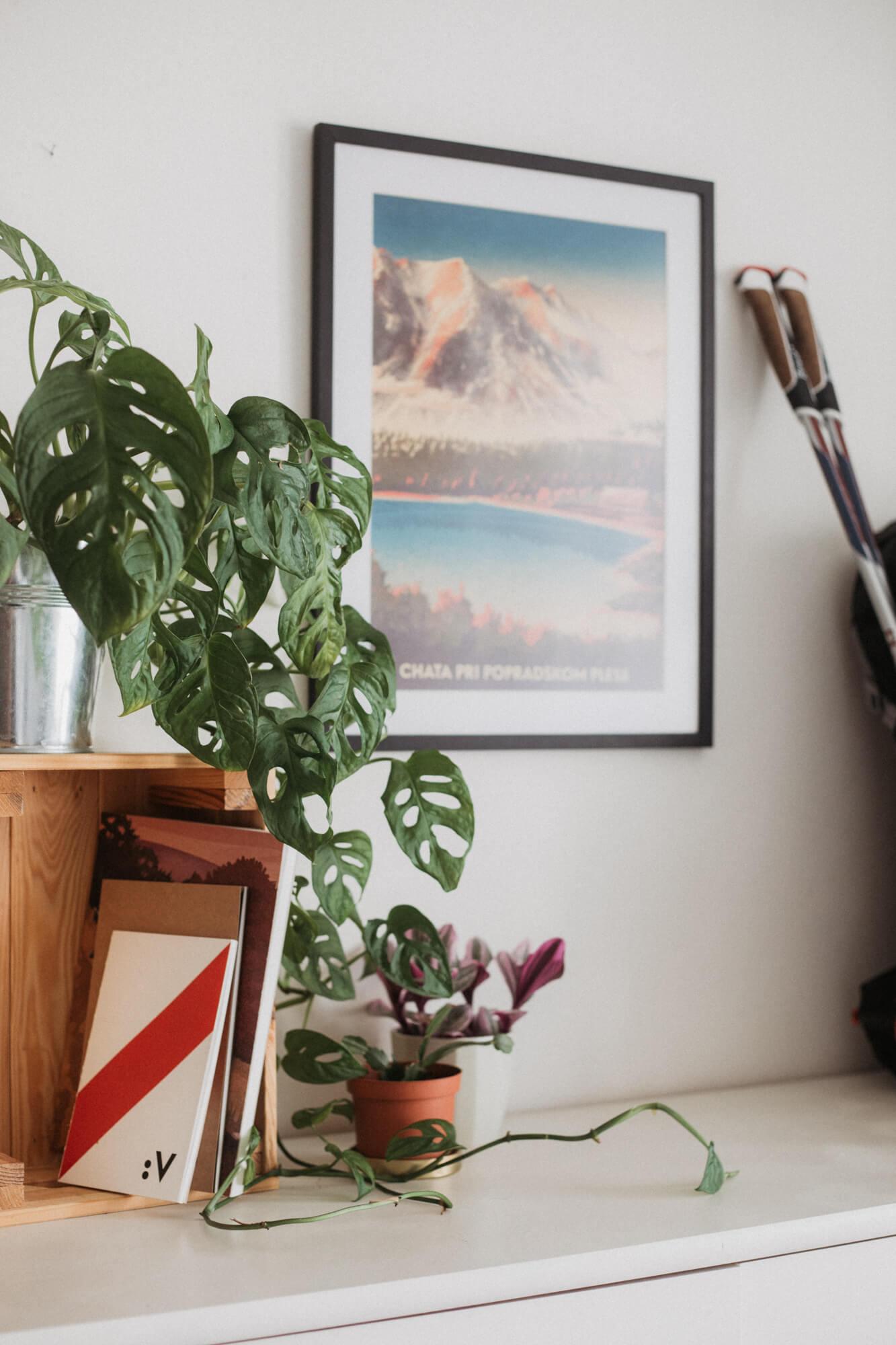 Chata pri Popradskom plese – Adrián Macho