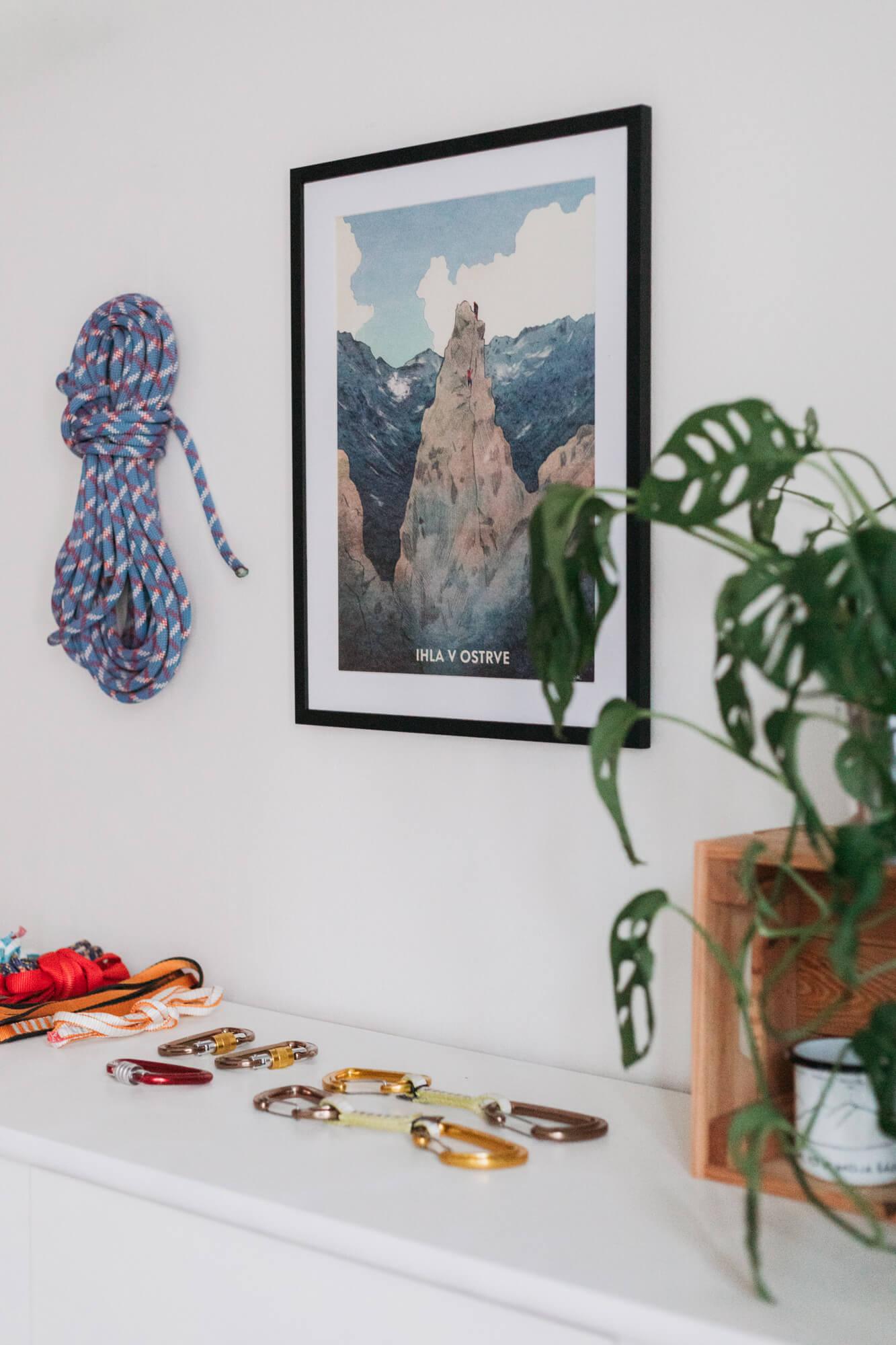 Ihla v Ostrve – Tina Minor