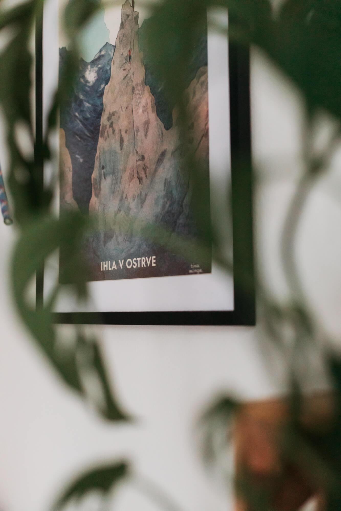 Ihla v Ostrve – Tina Minor