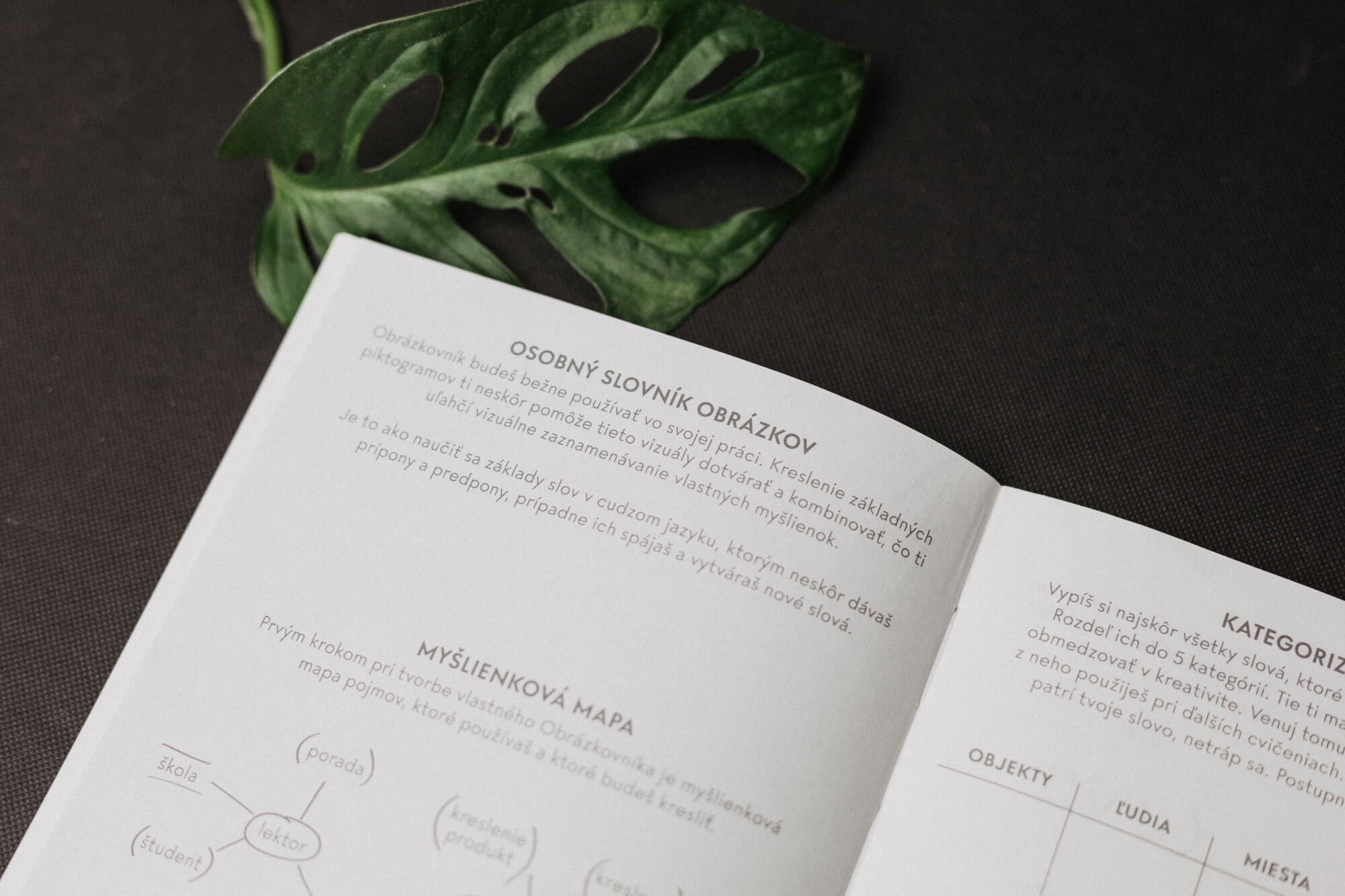 Skečovník - II.akosť