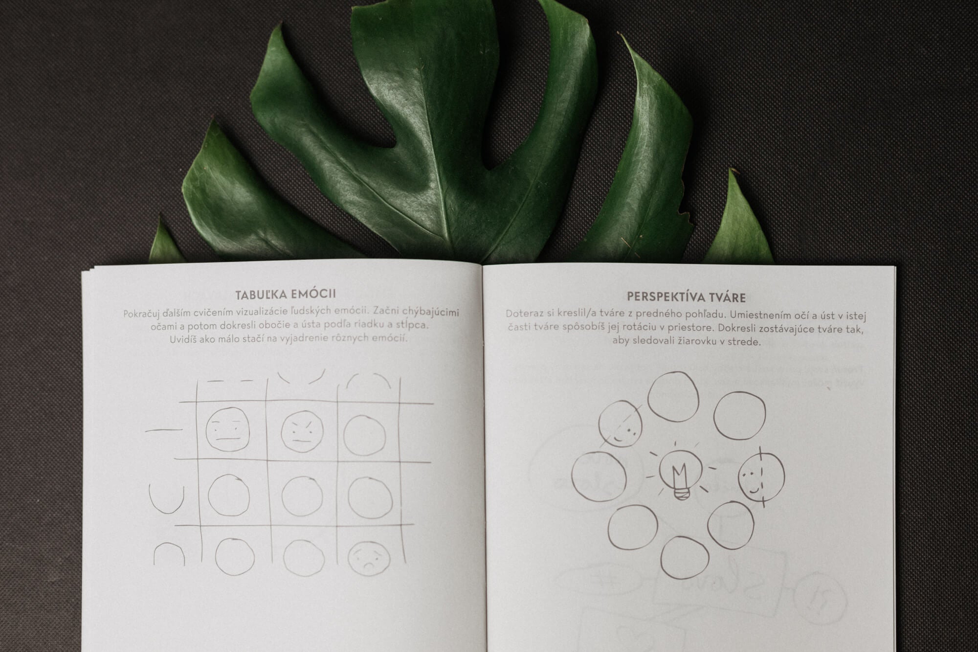 Skečovník - II.akosť