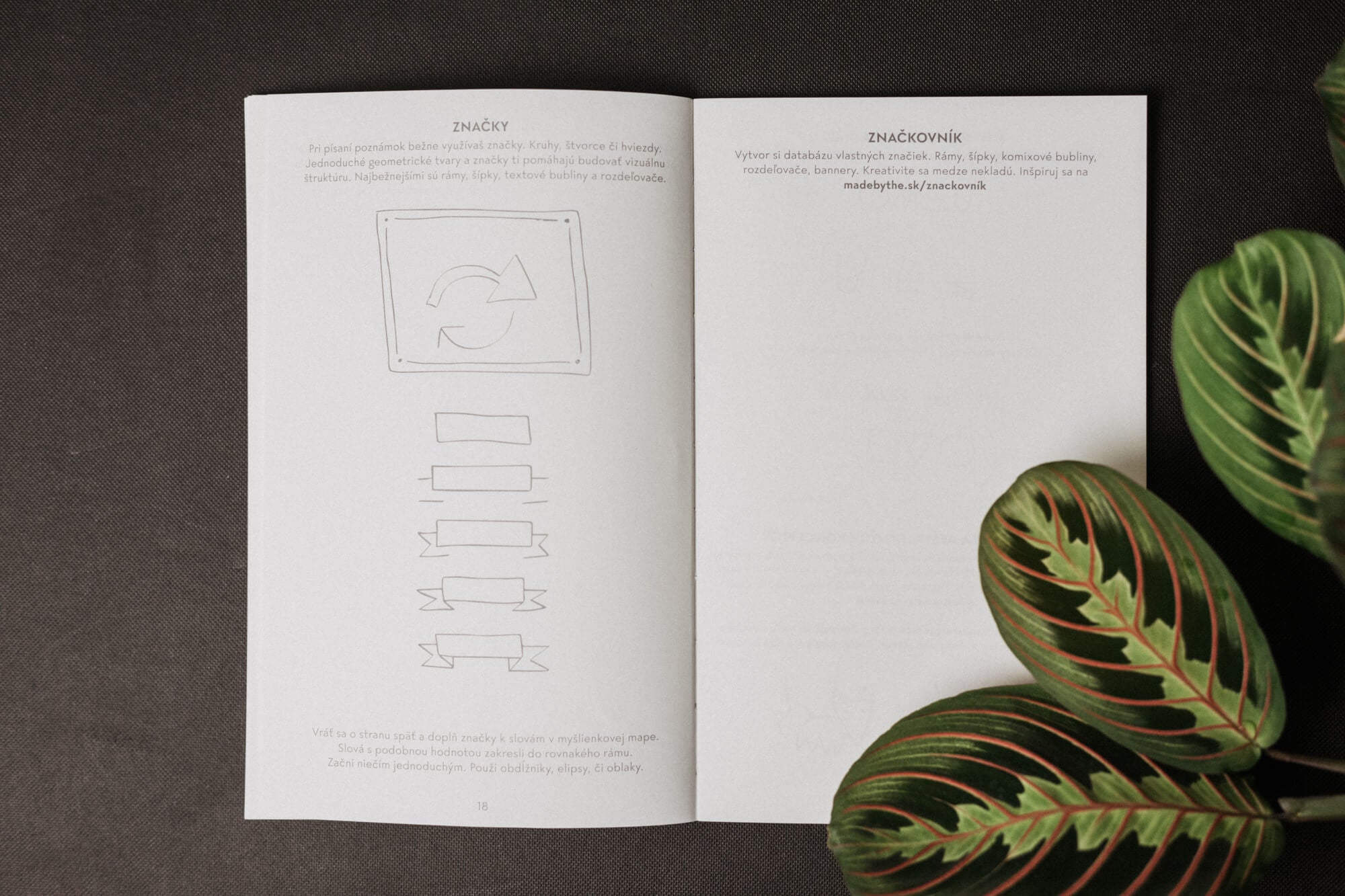 Skečovník - II.akosť