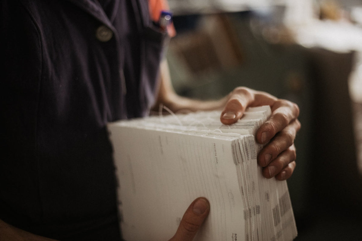 Ako sme spočítali uhlíkovú stopu diára (a ako to spočítaš aj ty)
