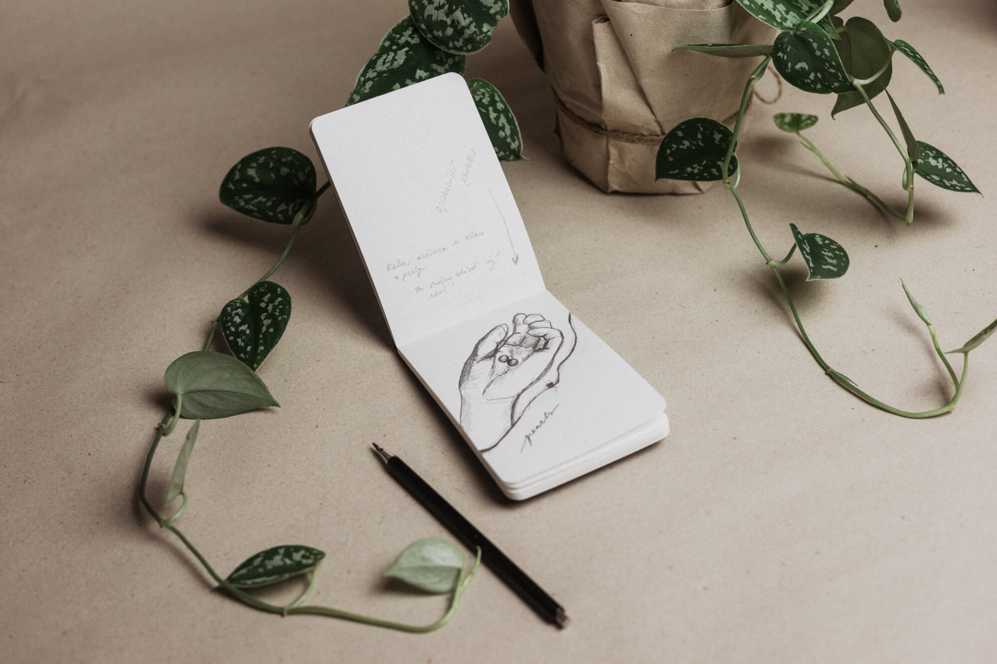 Nápadníček - II.akosť